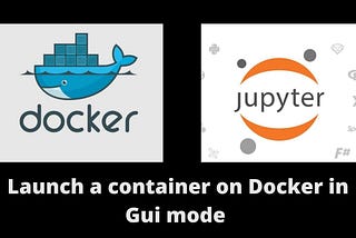 Runing a GUI container on the Docker