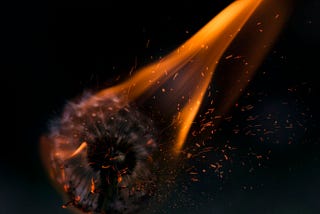 A dandelion on fire.