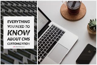 Everything You Need To Know About CMS Customization