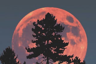 Moon Transit Following