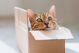 How Can Data Scientists “Think Out-of-the-Box”