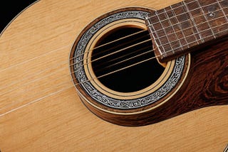 Takamine-12-String-1