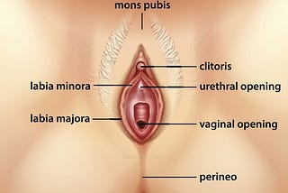 How Do Women Masturbate?
