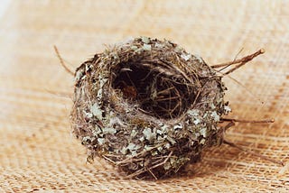 small, empty bird’s nest