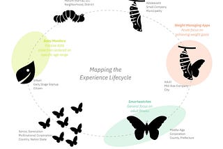 A circular diagram of a butterfly lifecycle with text adjacent to each stage informing analogous stages of user, civic, and corporate lifecycles.