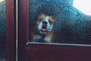 Why Virtual Frosted Glass Is Mutual Visibility