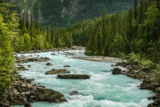 A Trek in The Mountains