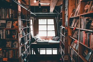 This Self-Published Fiction Book Makes $7,200/Day