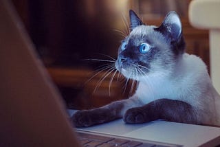 React Hooks: don’t let useState surprise you!