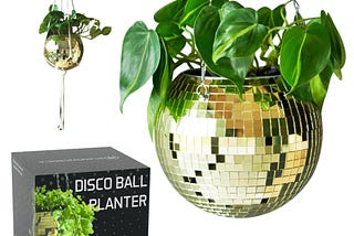 Brightening Hanging Disco Ball Planter - Enhance Your Indoor Space | Image