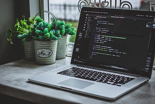 A laptop displays code in a terminal. Next to the laptop, three plants sit before a window.