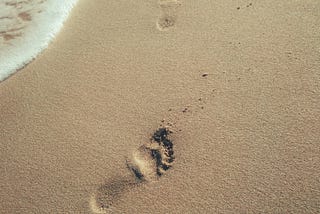 Create Your Digital Will