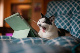 10 Random Topics to Explore When You’re Bored