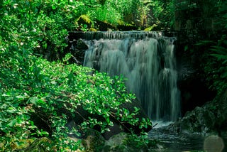 A waterfall in a small river, covered by vegetation.