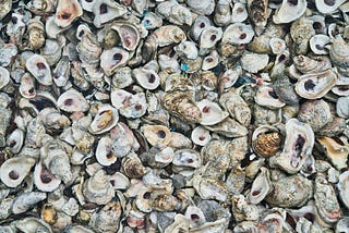 Oysters — Poetry