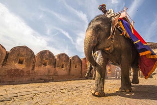 A man on an elephant in India