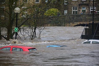 How To Survive a Flood