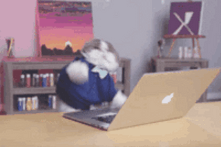 HTTP TRACE method vulnerability and Fixing