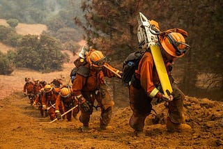 California Fires Live Updates: Lightning Storms Spare Fire Zone