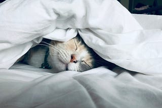 Why is good sleep more valuable than a high salary?