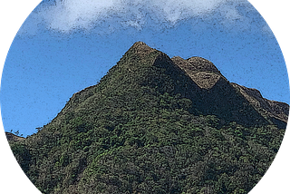 El Valle Vista — Edition 1