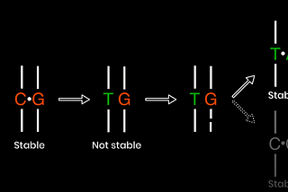 Curing Sickle Cell Disease and So Much More With Prime Editing