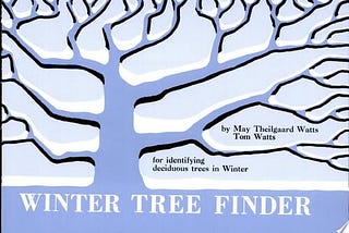 winter-tree-finder-51702-1