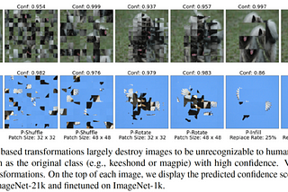 Akira’s Machine Learning News — Issue #34