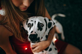 A young dalmatian is being held in a woman’s arms.