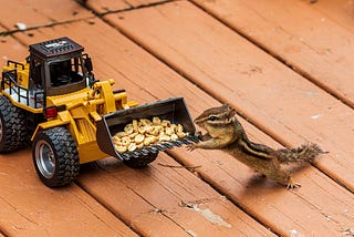 A chipmunk looking at peanuts in the bucket of a toy front loader.