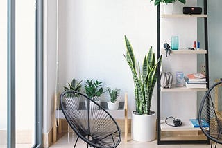 luxury-living-furniture-egg-shaped-papasan-acapulco-chair-set-of-2-in-black-1