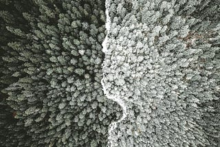 Navigating the Divide: Understanding Contentions and Developing Convictions