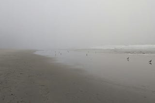 Misty Morning