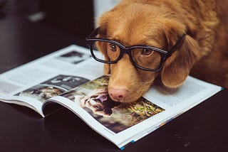 Reduce Article Length Without Losing Key Points Using This Prompt