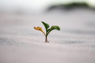 Why Exposure Therapy Is the New Meditation