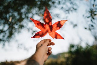 This Isn’t Just Another Election, Canada