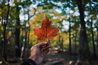 A Letter From A Canadian