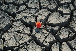 Four Big Ideas for a More Resilient Life