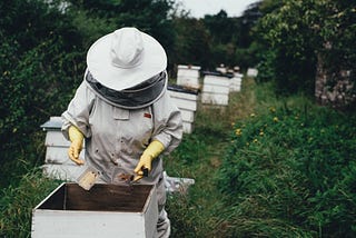 A beekeeper tending to a beehive box