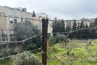 What I Witnessed in the Holy Land