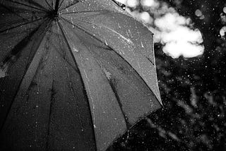 Panic Over An Umbrella at a Publix Grocery Store