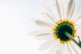 Overcome Anxiety, Understand Peace.