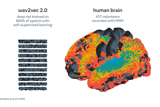 Un réseau de neurones capable de comprendre le cerveau humain