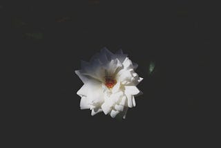 A Millennial's Perspective on Eastern and Western Culture, thoughts on death and how to live a…