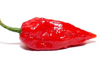 Would you Dare to Taste the Hottest Chilli in the World?