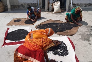 Women in Madhubani, Bihar sorting raw makhana seeds