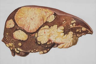 The Vital Role of the Pancreas and Vitamins in Human Health