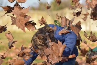 Fallen Leaves