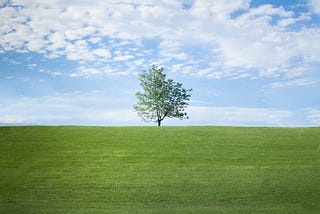 Building a simple Merkle tree class in Python