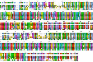 Protein Folding With AlphaFold2: Chapter Two